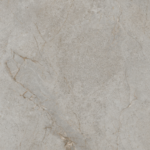 SILVER ROOT-21.B.612.2854